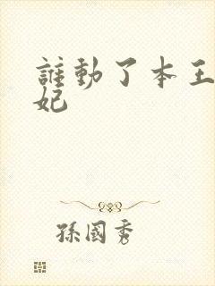 谁动了本王的悍妃
