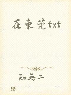 在东莞txt