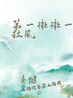 第一微微一笑很拉风