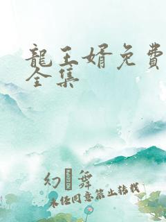 龙王婿免费完结全集