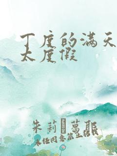 丁度的满天星太太度假