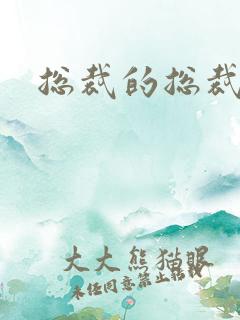 总裁的总裁情妇