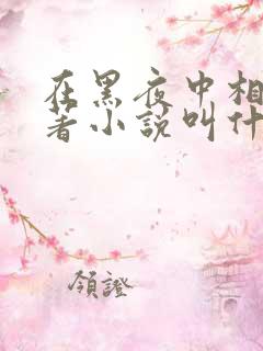 在黑夜中相拥原著小说叫什么