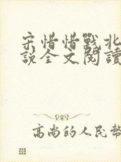 宋惜惜战北望小说全文阅读