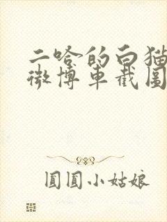 二哈的白猫师尊微博车截图