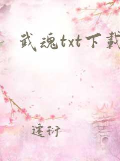 武魂txt下载