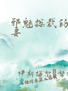 邪魅总裁的替身妻