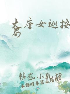 大唐女巡按大结局