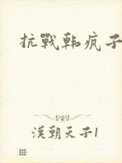 抗战韩疯子