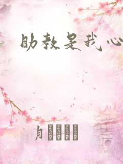 助教是我心尖宠