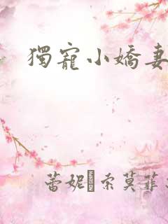 独宠小娇妻