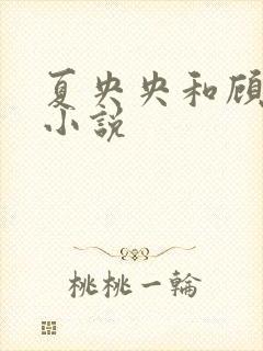 夏央央和顾祁琛小说