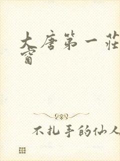 大唐第一庄无弹窗