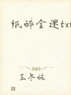 纸醉金迷txt