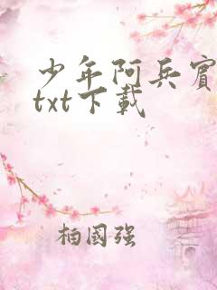 少年阿兵宾小说txt下载