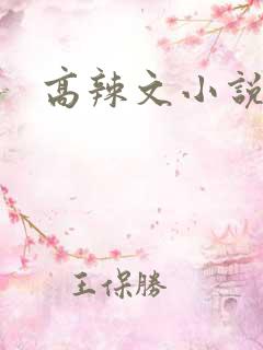 高辣文小说