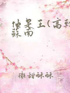 他是王(高干)苏南