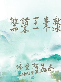 做错了事就往下面塞一个冰球作文