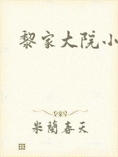 黎家大院小说