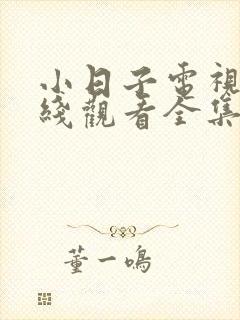 小日子电视剧在线观看全集免费高清