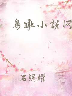 鸟瞰小说网