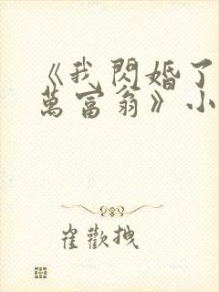 《我闪婚了个亿万富翁》小说