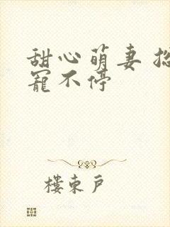 甜心萌妻 总裁宠不停