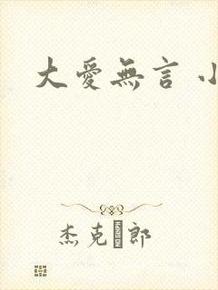 大爱无言 小说