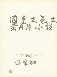 国产又色又爽又黄A片小说