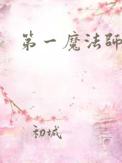 第一魔法师