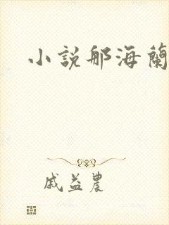 小说那海兰珠