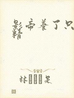 影帝养了只兰花精