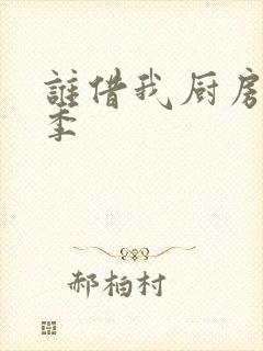 谁借我厨房第三季