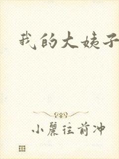 我的大姨子