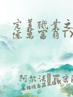 完美职业之我是亿万富翁TXT