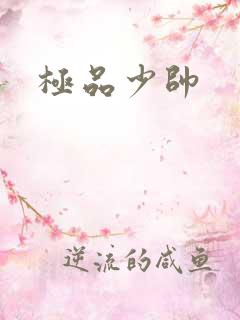 极品少帅