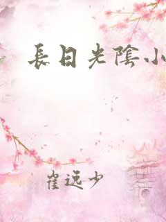 长日光阴小说