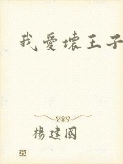 我爱坏王子