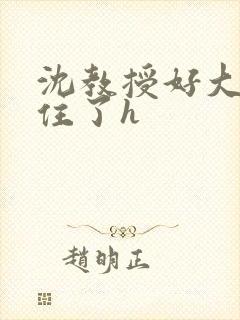 沈教授好大含不住了h