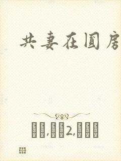 共妻在圆房3p