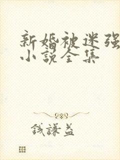 新婚被迷强系列小说全集