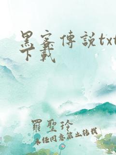 黑客传说txt下载