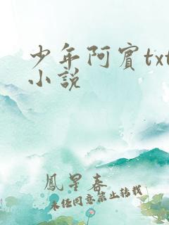 少年阿宾txt小说