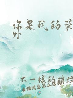 你是我的荣耀番外