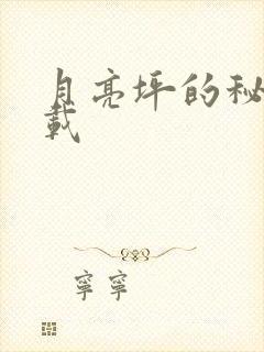 月亮坪的秘密下载