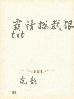 霸情总裁狠狠爱txt