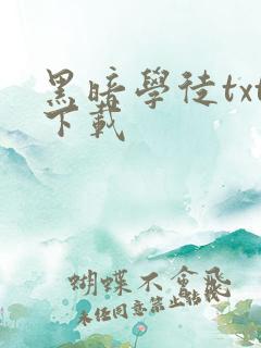 黑暗学徒txt下载