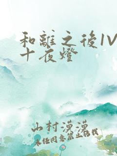 和离之后1V1十夜灯