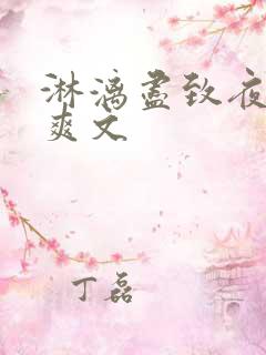 淋漓尽致夜晚小爽文