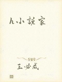 h小说家